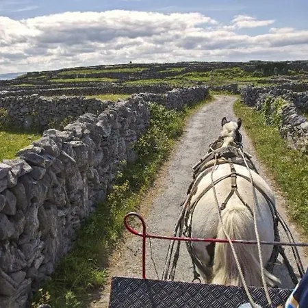 Appartement Boherbui On The Wild Atlantic Way *