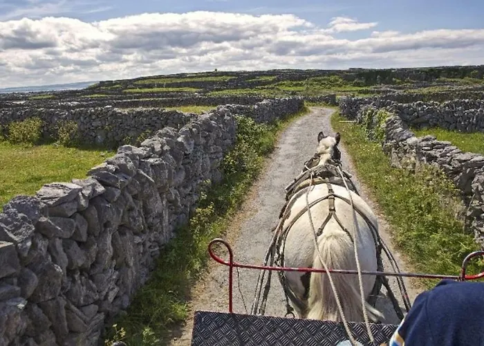 Apartment Boherbui On The Wild Atlantic Way *